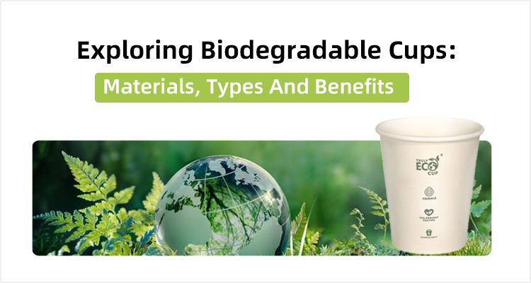 Exploring biodegradable cups: materials, types and benefits